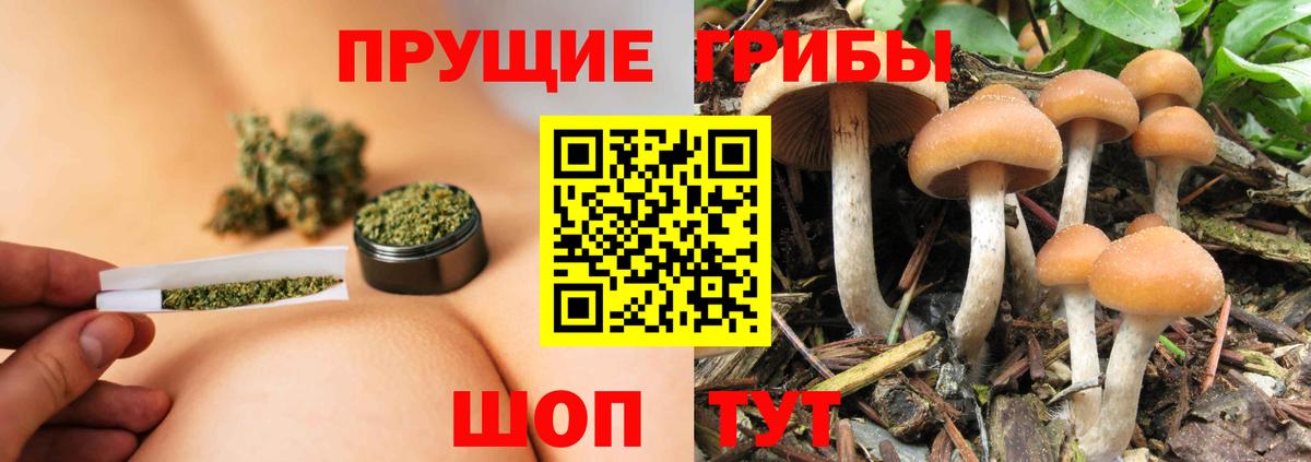 МЕФ   Codein  МДМА  Кириши  МЕФ  МАРИХУАНА  Гашиш  ЭКСТАЗИ  Вход с VPN  АМФЕТАМИН   COCAIN 
