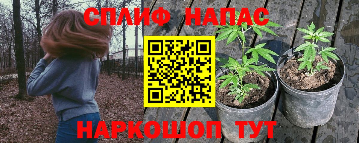 Бошки Шишки семена  Вход с VPN  Шишки марихуана Ganja  Марихуана VHQ  Кириши 